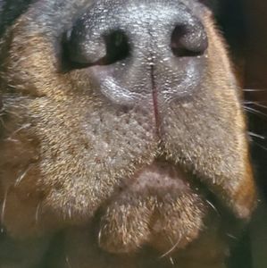 Meet your Posher, Sandi